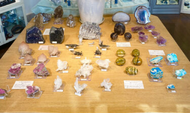 冬の到来をお祝いするメインテーブル(その2)