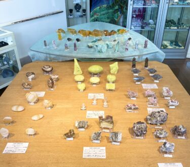 ２０２６ツーソン新着デヴュー始まりました！